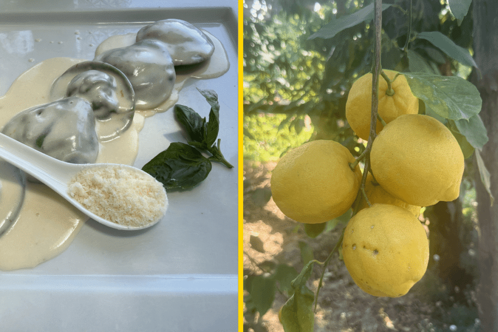 Italian food and lemons