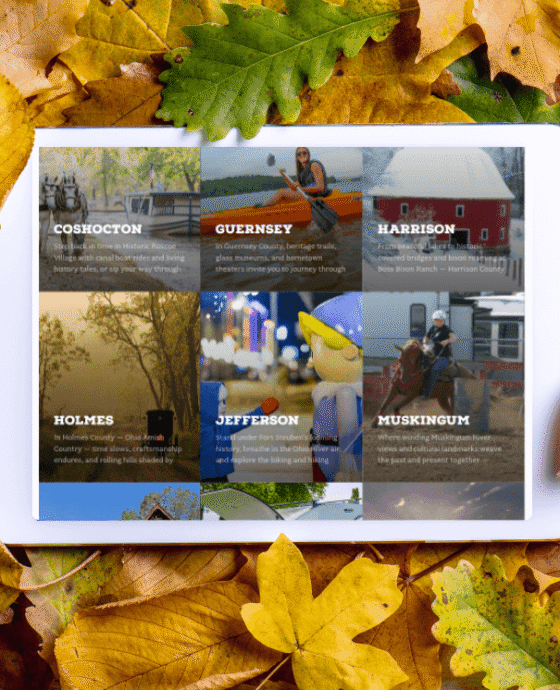 Laptop laying in leaves