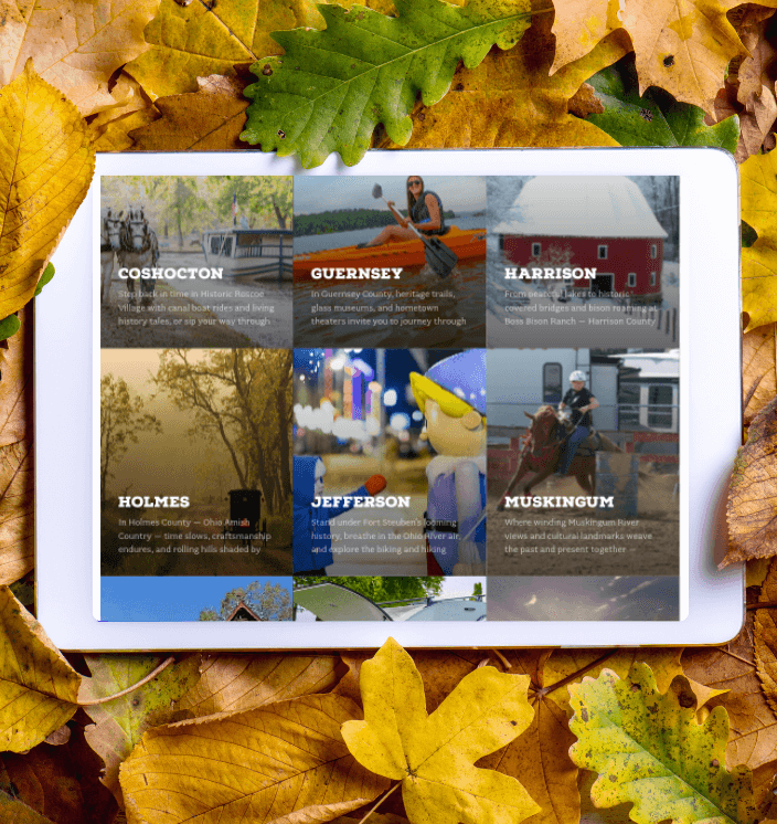 Laptop laying in leaves